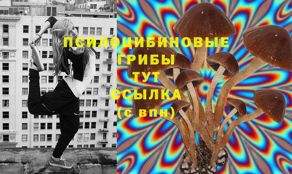 герыч Каменка