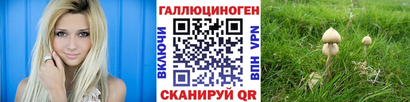 Купить где  Ардон  Галлюциногенные грибы Psilocybe 